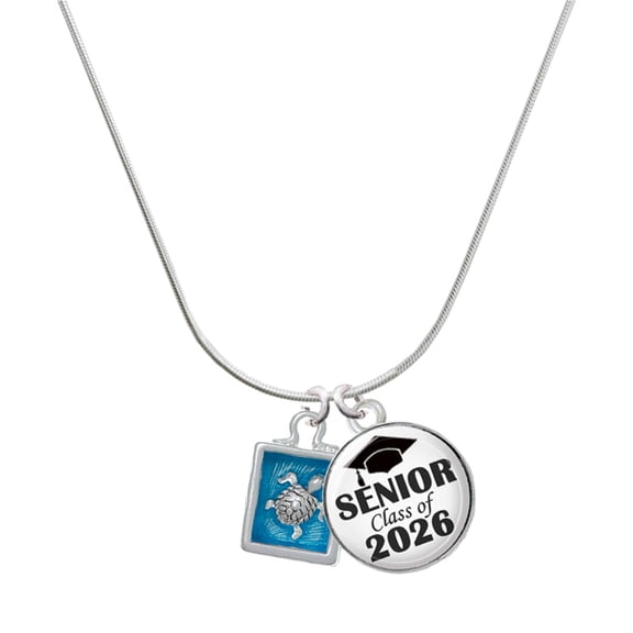 Delight Jewelry Silver-tone Sea Turtle in Shadow Box - Silvertone Senior Class of 2026 Dome Necklace, 18"