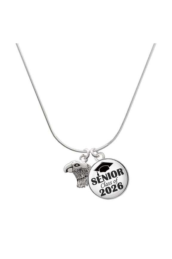 Silver-tone Small Falcon - Mascot - Silvertone Senior Class of 2026 Dome Necklace, 18"