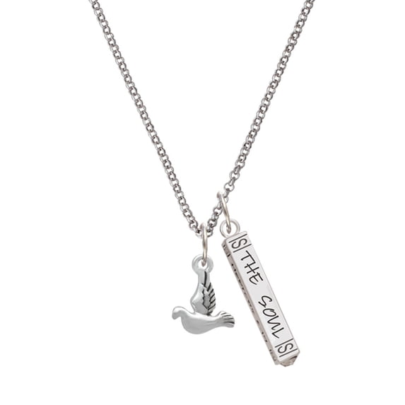 Delight Jewelry Silvertone 2-D Small Dove Silvertone Hope Anchors the Soul Bar Charm Necklace, 23"