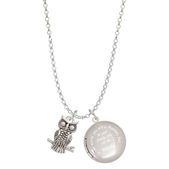 Delight Jewelry Silvertone Antiqued Owl To the World You are a Mother Locket Necklace