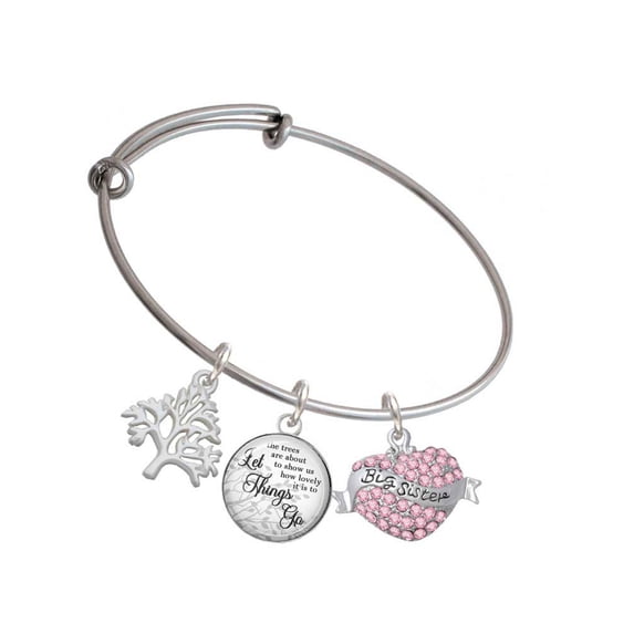 Delight Jewelry Silvertone Big Sister Banner on Pink Crystal Heart Silvertone Let Things Go Tree Charm Bangle Bracelet