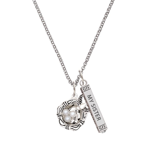 Delight Jewelry Silvertone Birds Nest with Eggs Silvertone Always My Sister Bar Charm Necklace, 23"