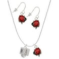 thumbnail image 1 of Delight Jewelry Silvertone Chinese Symbol Love Square Spinner Red Lucky Ladybug Necklace and Dangle Earrings Set, 1 of 6