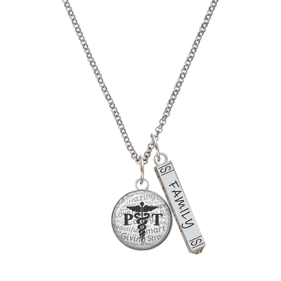 Delight Jewelry Silvertone Domed Black PT Silvertone Family Bar Charm Necklace, 23"