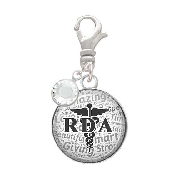Delight Jewelry Silvertone Domed Black RDA - Silvertone Clip on Charm with Clear Crystal Drop