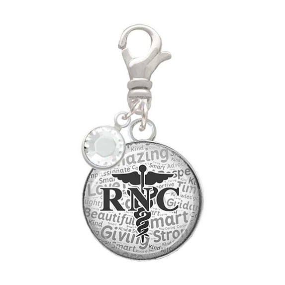 Delight Jewelry Silvertone Domed Black RNC - Silvertone Clip on Charm with Clear Crystal Drop