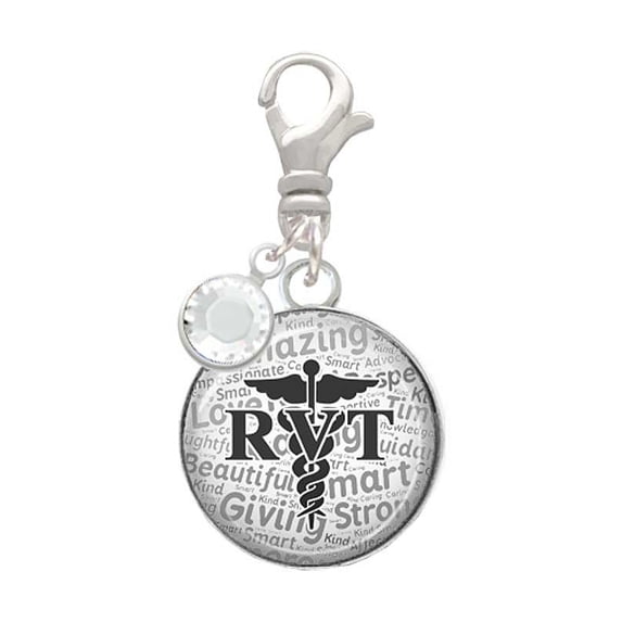 Delight Jewelry Silvertone Domed Black RVT - Silvertone Clip on Charm with Clear Crystal Drop