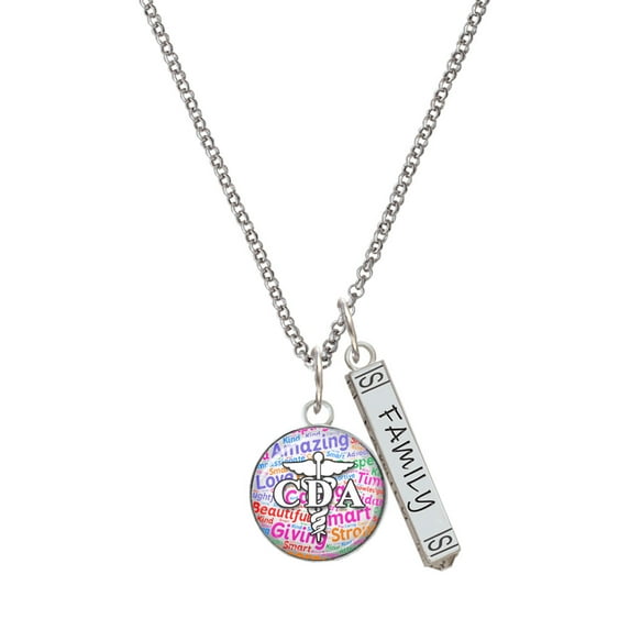 Delight Jewelry Silvertone Domed Multi Color CDA Silvertone Family Bar Charm Necklace, 23"
