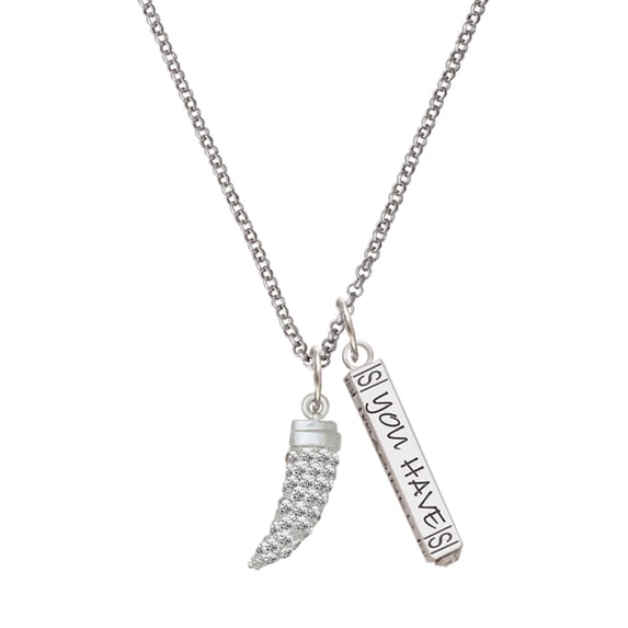 Delight Jewelry Silvertone Large Crystal Sabre Tooth Silvertone Live the Life You Have Imagined Bar Charm Necklace, 23"