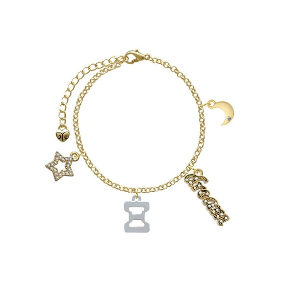 Delight Jewelry Silvertone Large Greek Letter - Xi - Goldtone Dream Big Charm Bracelet, 7.5+2" Extender