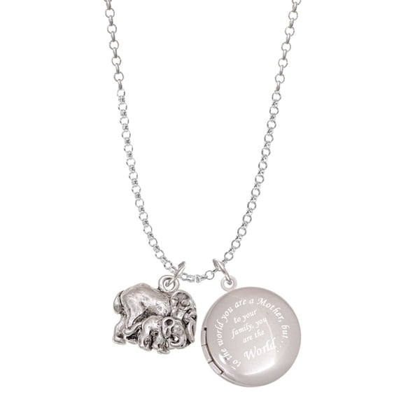 Delight Jewelry Silvertone Loved Elephant with Baby To the World You are a Mother Locket Necklace