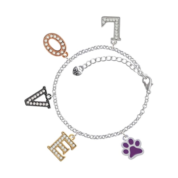 Delight Jewelry Silvertone Medium Translucent Purple Paw Multi-Colored Crystal Love Charm Bracelet