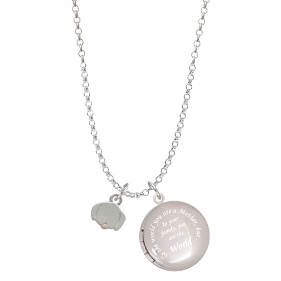 Delight Jewelry Silvertone Mini Dog Face with Tongue To the World You are a Mother Locket Necklace