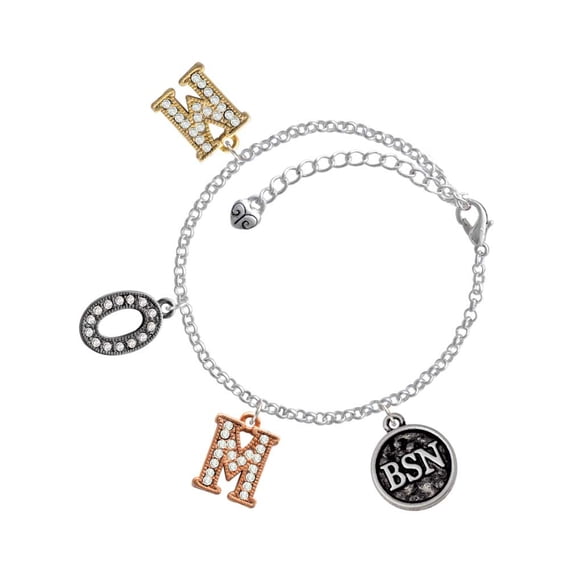 Delight Jewelry Silvertone Nurse Caduceus Seal - BSN Multi-Colored Crystal Mom Charm Bracelet