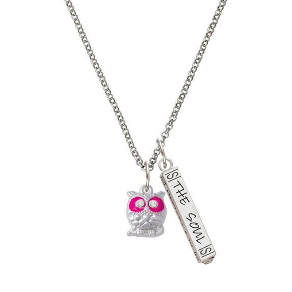 Delight Jewelry Silvertone Owl with Hot Pink & Clear Crystal Eyes Silvertone Hope Anchors the Soul Bar Charm Necklace, 23"