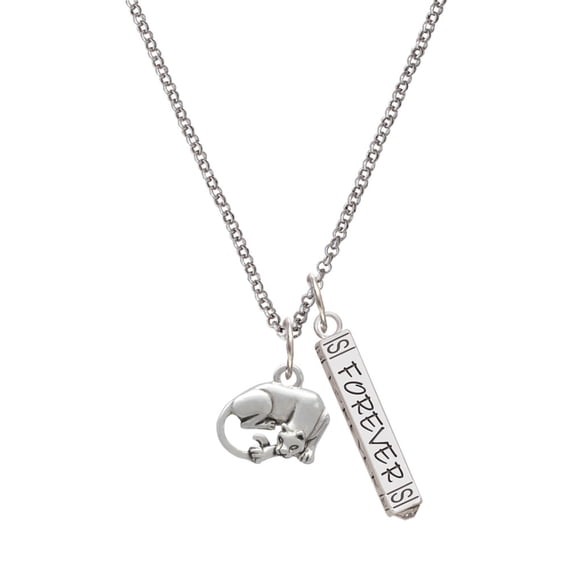 Delight Jewelry Silvertone Panther Silvertone Forever Bar Charm Necklace, 23"