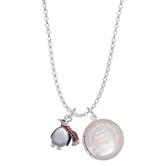 Delight Jewelry Silvertone Penguin with Scarf To the World You are a Mother Locket Necklace