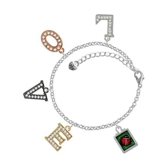 Delight Jewelry Silvertone Red Ladybug in Shadow Box Multi-Colored Crystal Love Charm Bracelet