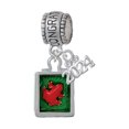 Delight Jewelry Silvertone Red Tree Frog in Shadow Box Congratulations