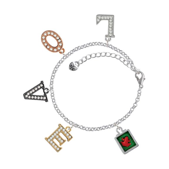 Delight Jewelry Silvertone Red Tree Frog in Shadow Box Multi-Colored Crystal Love Charm Bracelet