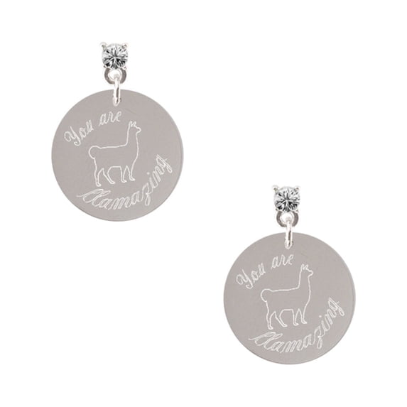 Delight Jewelry Stainless Steel You are Llamazing Llama Disc - Clear Crystal Post Earrings