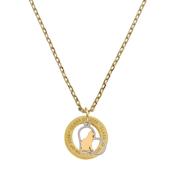 Delight Jewelry Two-tone Cat Silhouette Heart - Goldtone Class of 2026 Affirmation Ring Necklace, 23"