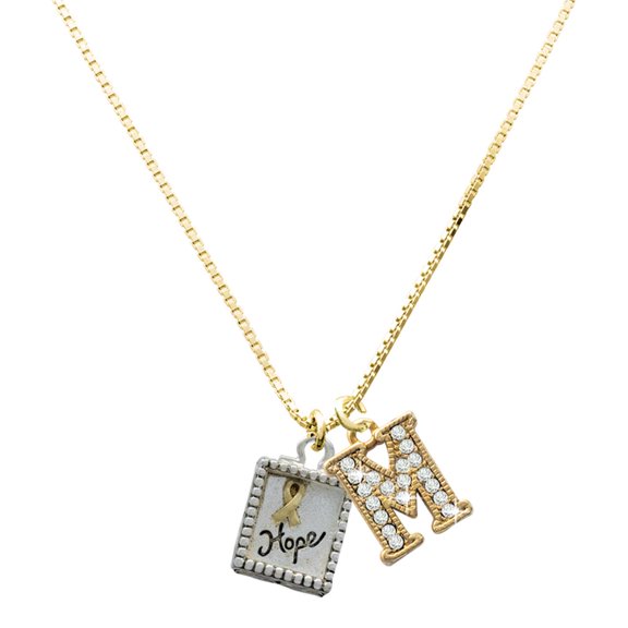 Delight Jewelry Two-tone Shadow Box ''Hope'' with Ribbon - Large Goldtone Crystal Initial - M - Charm Necklace, 17.5"+2"
