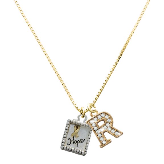 Delight Jewelry Two-tone Shadow Box ''Hope'' with Ribbon - Large Goldtone Crystal Initial - R - Charm Necklace, 17.5"+2"