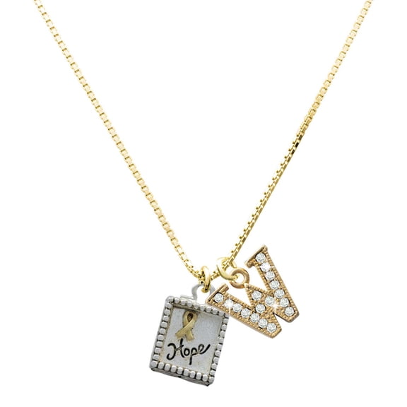 Delight Jewelry Two-tone Shadow Box ''Hope'' with Ribbon - Large Goldtone Crystal Initial - W - Charm Necklace, 17.5"+2"