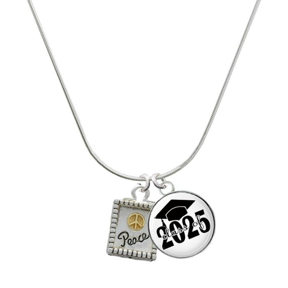 Delight Jewelry Two-tone Shadow Box ''Peace'' with Peace Sign - Script Class of 2025 Dome Charm Necklace, 18"