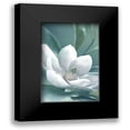 thumbnail image 1 of Delimont, Danita 11x14 Black Modern Framed Museum Art Print Titled - Magnolia Morning, 1 of 5