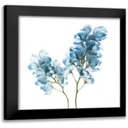 Delimont, Danita 12x12 Black Modern Framed Museum Art Print Titled - Gorgeous Blue II