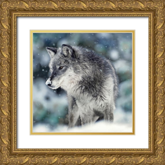 Delimont, Danita 12x12 Gold Ornate Wood Framed with Double Matting Museum Art Print Titled - Winter Watch