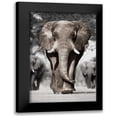 thumbnail image 1 of Delimont, Danita 13x18 Black Modern Framed Museum Art Print Titled - Botswana Patriarch, 1 of 5