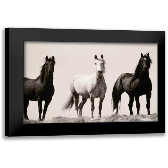 Delimont, Danita 14x11 Black Modern Framed Museum Art Print Titled - Wild Stallions