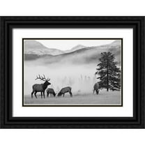 Delimont, Danita 14x11 Black Ornate Wood Framed with Double Matting Museum Art Print Titled - Mountain Elk