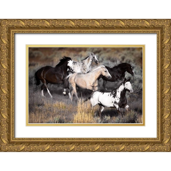 Delimont, Danita 14x11 Gold Ornate Wood Framed with Double Matting Museum Art Print Titled - High Prairie Run