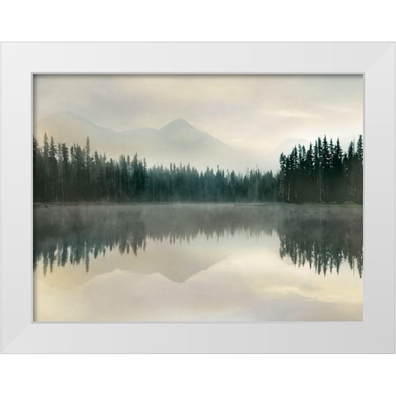 Delimont, Danita 14x12 White Modern Wood Framed Museum Art Print Titled - Jade Reflection