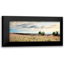 Delimont, Danita 14x8 Black Modern Framed Museum Art Print Titled - Tuscan