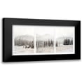 thumbnail image 1 of Delimont, Danita 14x9 Black Modern Framed Museum Art Print Titled - Snowbound, 1 of 5