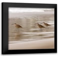 thumbnail image 1 of Delimont, Danita 15x15 Black Modern Framed Museum Art Print Titled - Shore Birds I, 1 of 5