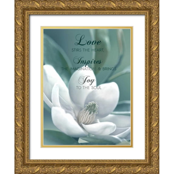 Delimont, Danita 15x18 Gold Ornate Wood Framed with Double Matting Museum Art Print Titled - Joy To The Soul