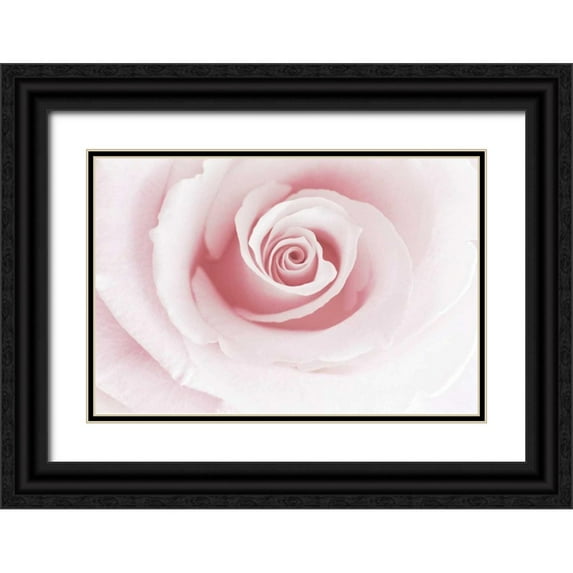 Delimont, Danita 18x13 Black Ornate Wood Framed with Double Matting Museum Art Print Titled - Rose Embrace