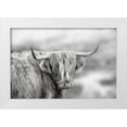 thumbnail image 1 of Delimont, Danita 18x13 White Modern Wood Framed Museum Art Print Titled - Roaming Isle of Skye, 1 of 4