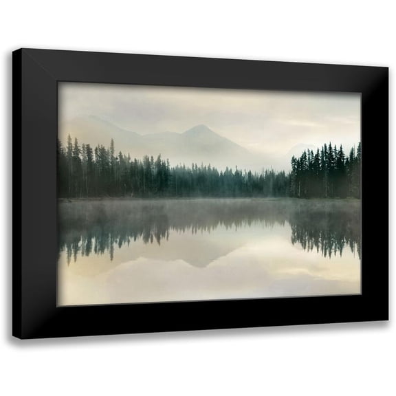 Delimont, Danita 18x15 Black Modern Framed Museum Art Print Titled - Jade Reflection