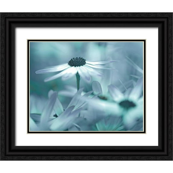 Delimont, Danita 18x15 Black Ornate Wood Framed with Double Matting Museum Art Print Titled - Moment in the Sun