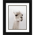 thumbnail image 1 of Delimont, Danita 19x24 Black Ornate Wood Framed with Double Matting Museum Art Print Titled - Soft Llama, 1 of 4
