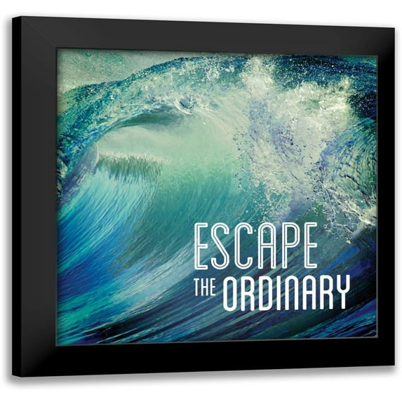Delimont, Danita 20x20 Black Modern Framed Museum Art Print Titled - Escape the Ordinary