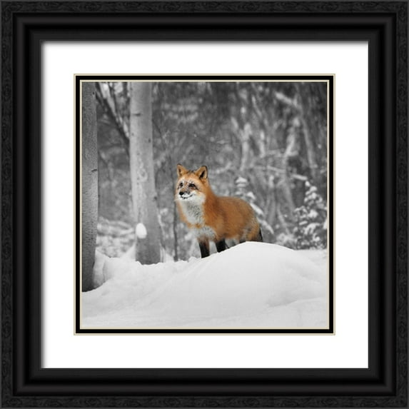 Delimont, Danita 20x20 Black Ornate Wood Framed with Double Matting Museum Art Print Titled - Snowy Sentinel