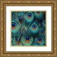 thumbnail image 1 of Delimont, Danita 20x20 Gold Ornate Wood Framed with Double Matting Museum Art Print Titled - All For Show, 1 of 4